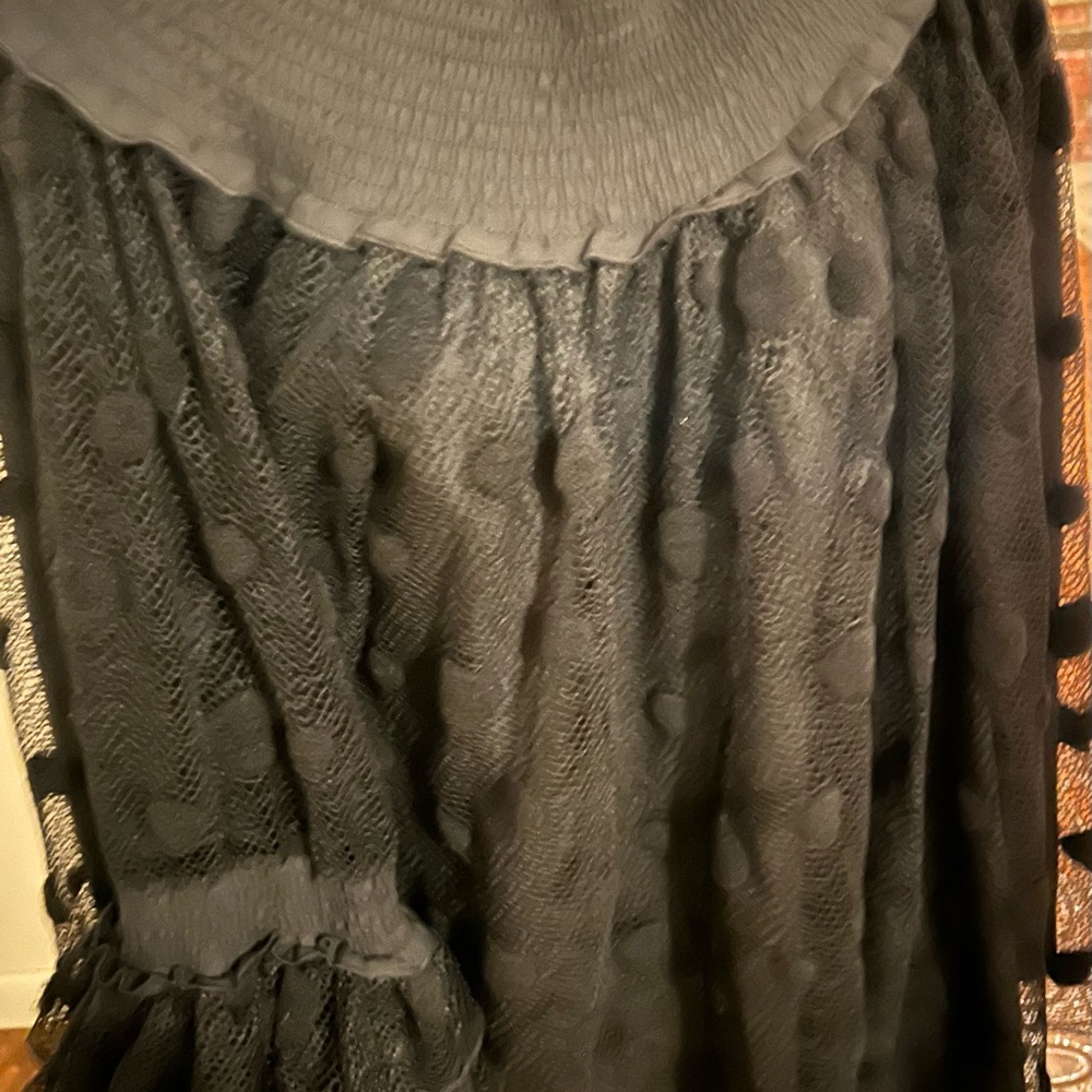 Off the shoulder black short dress with sheer arms and ruffle at bottom of arm.